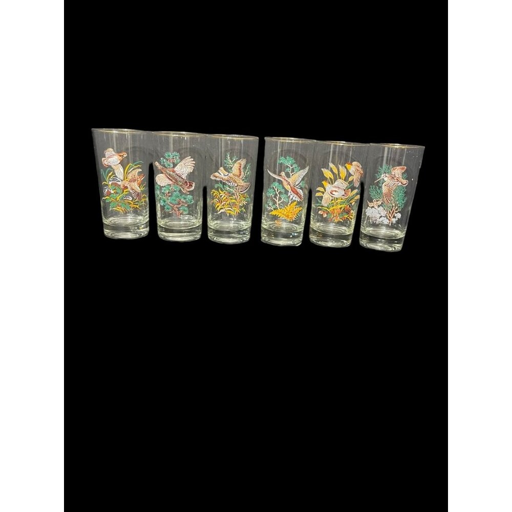 Mid Century West Virginia Glass Game Bird Highball Glasses Gold Rim - 6